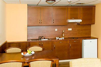 Airport Hotel Apartman 4* hotel at the Liszt Ferenc airport - Airport Hotel Budapest**** - Discount hotel with free transport from the airport